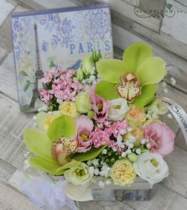 soft ellegance box (11 stems)