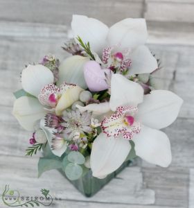 Orchidee Würfel 