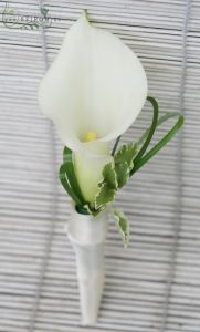 Boutonniere of calla (white)