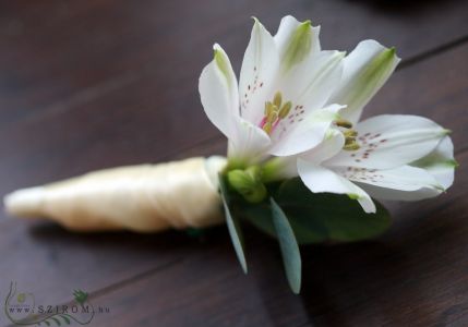 Boutonniere of alstromeries (white)