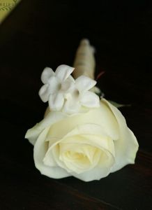 vőlegény kitűző rózsából stephanothissal (fehér)