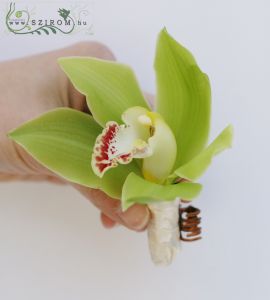 hair flowers, orchids (green, cream)