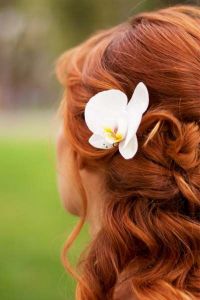 hair flowers, orchids (white)
