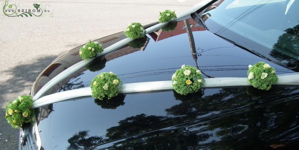 car flower arrangement on ribbon with sedum (white, cream)