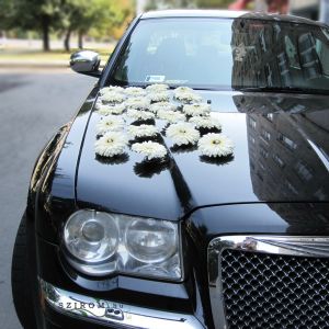 car flower arrangement from gerberas (white)