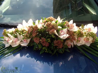 oval car flower arrangement with orchids and sedum, only in autumn (white)
