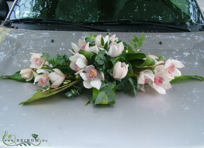 oval car flower arrangement with Cymbidium orchids (white)