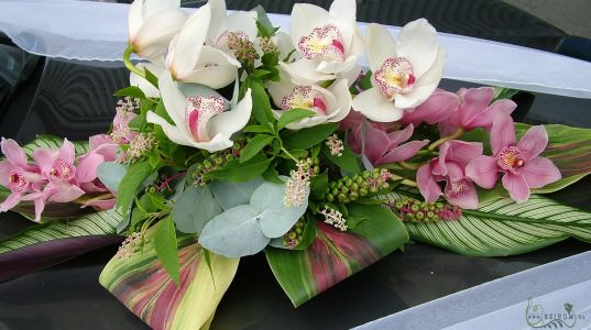 oval car flower arrangement with orchids (orchydea, white, pink)