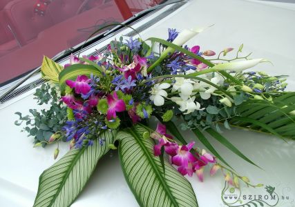 teardrop car flower arrangement with orchids (cala, agapanthus, white, blue, pink)