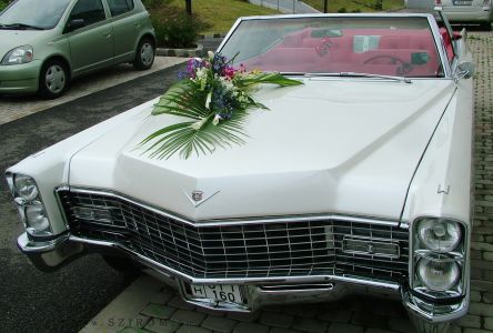 teardrop car flower arrangement with orchids (cala, agapanthus, white, blue, pink)