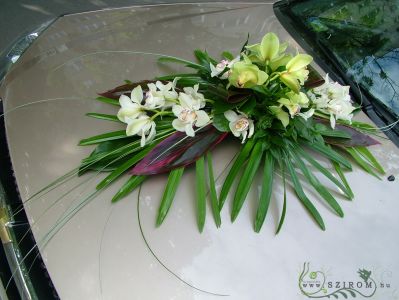 oval car flower arrangement with orchids (white,green)
