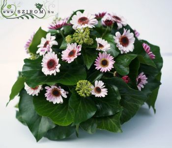 Centerpiece with chrysantemum daisies (purple), wedding