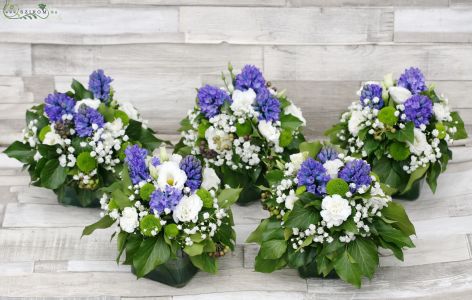 Centerpieces with blue hyacinths, 1pc, wedding