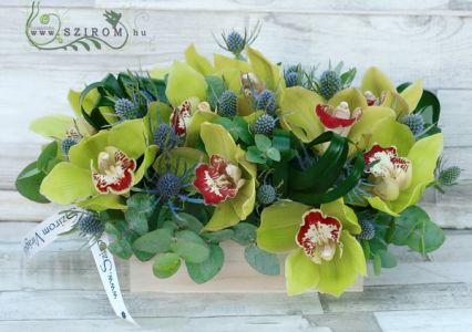 10 green orchids in natural wooden box with eryngium