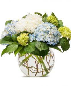 Beautiful hydrangeas in big glass ball