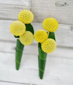 Boutonniere of craspedia (yellow) 1 pc