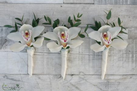 Boutonniere of orchid (white) 1 pc