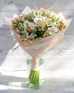 Round bouquet of 20 pink and white alstromeries, with vase