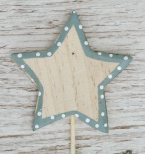 star figure in stick (9cm)
