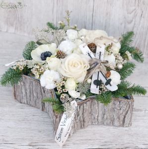 Winter schneebedecktes Feld Blumenarrangement, mit Skiern, in einer Barke Sterne-Topf