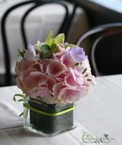 Flower arrangement in a glass cube ,  Városliget Caffé Restaurant , Budapest (hydrangea, freesia, orchid, pink, purple, green)  Városliget Caffé Étterem, Budapest, wedding