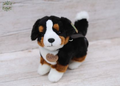 Plüss berni pásztor kutya (22cm)