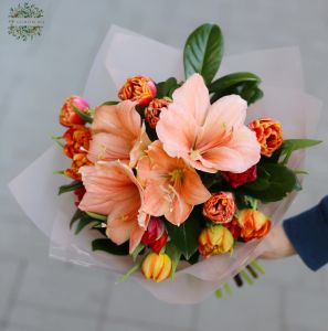 Amaryllis mit Tulpen