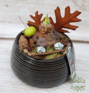 amaryllis with oak leaf decoration