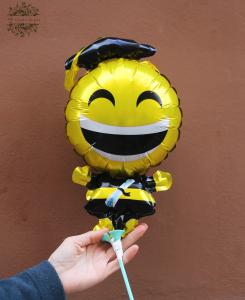 Abschlussballon