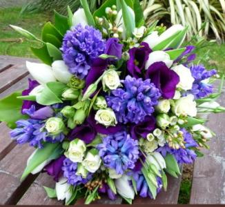 Mini Rose, Hyacinthus, Lisianthus, Tulpen (21 Stämme)
