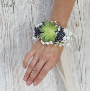 wrist corsage made of stonecrop, lavander and baby's breath (green, purple)