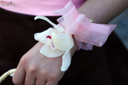 wrist corsage made of orchid (white)