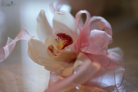 wrist corsage made of orchid (white)