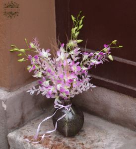 Dendrobium orchid with vase and exciting accessories