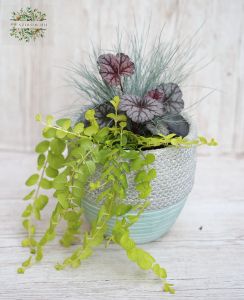 Garten Pflanze mehrjährig