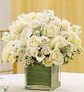 white  dream in glass cube (40 stems)