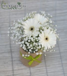 Gerberák befőttes üvegben asztaldísz (gerbera, rezgő, fehér), esküvő