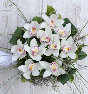 10 Cymbidiumorchideen mit Aspidistra Blätter