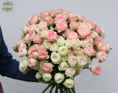 Wunderschöne Sprayrosen ein Strauß mit 35 Stielen