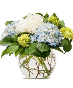 Schöne Hydrangeas in großer Glaskugel