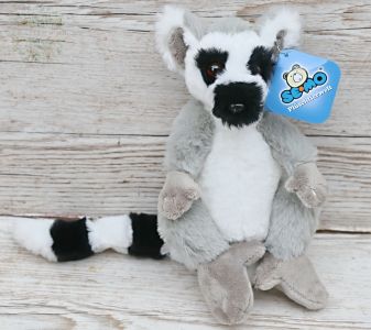 Katta (20 cm)