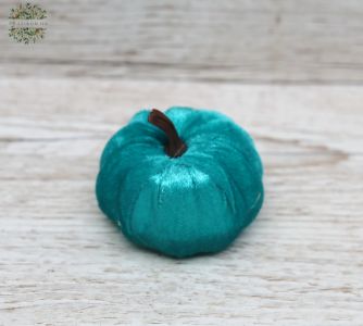 Kleine seidige türkis Kürbis