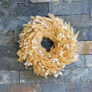 Kis bolyhos szárazvirág kopogtató 20cm