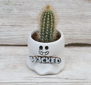 Kleine Kaktee im Geist Topf (mit variablem Text) 13 cm