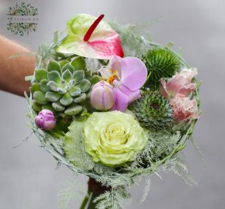Kis kövirózsás csokor orchideával, flamingóvirággal, tulipánnal