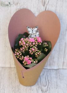 Kalanchoe im Herz Papier, mit Schmetterling