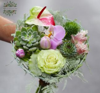 Kis kövirózsás csokor orchideával, flamingóvirággal, tulipánnal