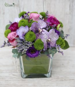 Lila Würfel mit Vanda Orchideen (17 Stiele)