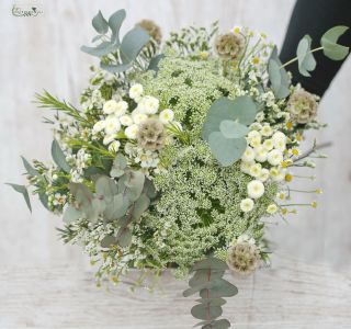 Menyasszonyi csokor (kamilla, wax, scabiosa, trachelium, sóvirág, matricaria, eukaliptusz, fehér, barna)