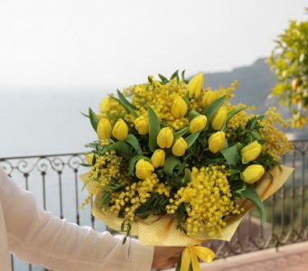 mimosa with 20 tulips